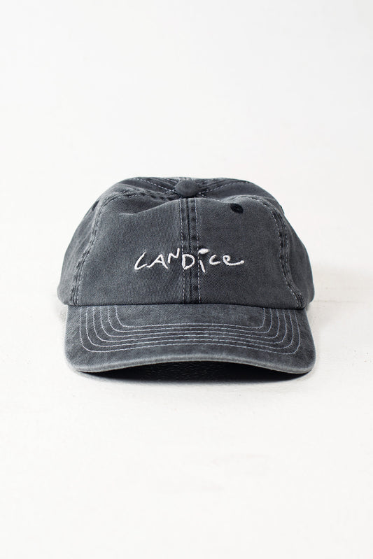 Logo 6 Panel Cap